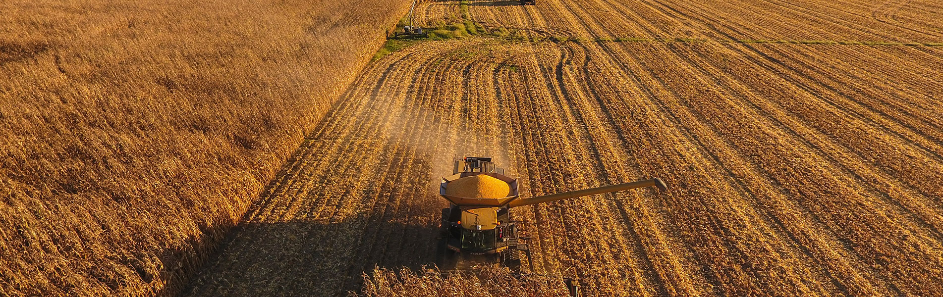 Food security plan after Brexit biggest