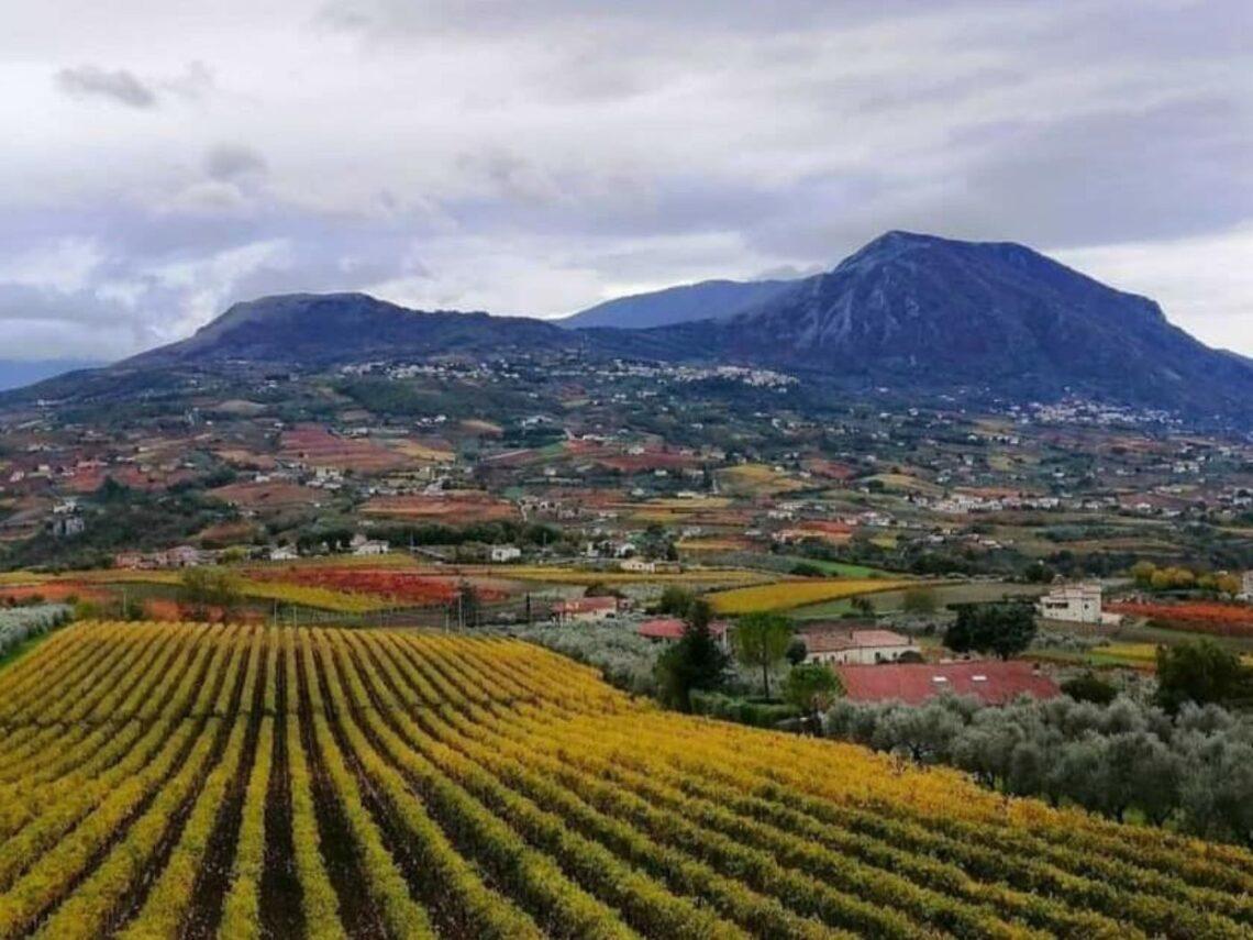 Il Sannio tra vigneti e tradizioni